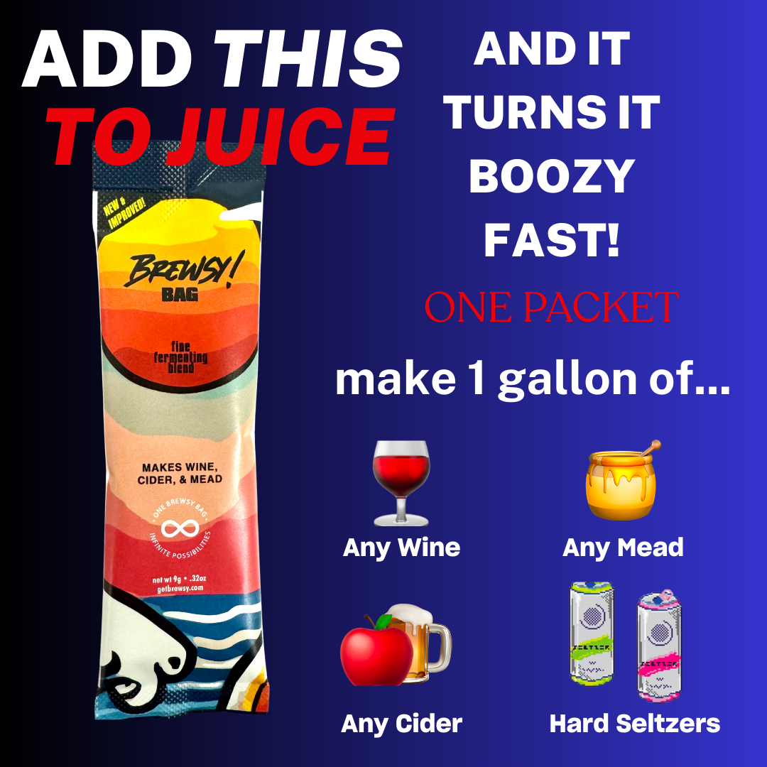 Brewsy Starter Kit with Glassware