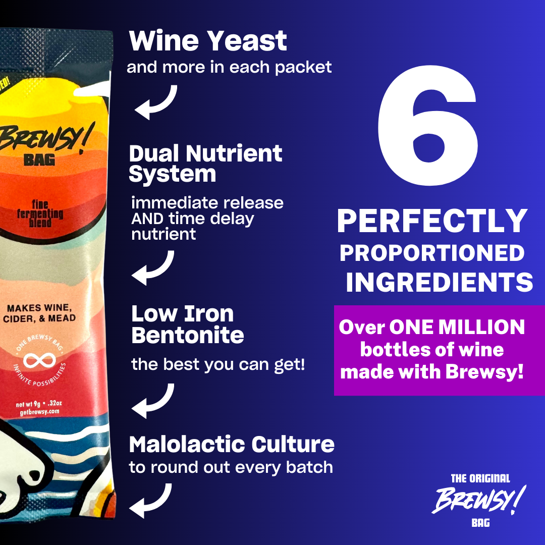 Brewsy Starter Kit with Glassware