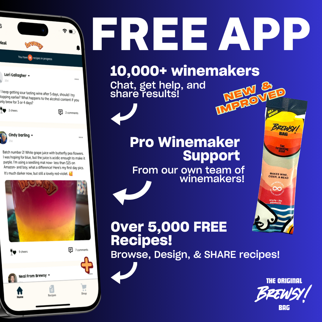 Brewsy Starter Kit with Glassware